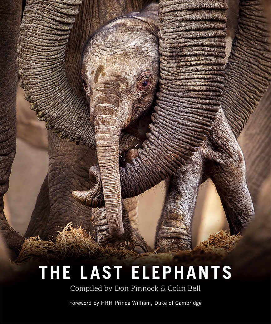 THE LAST ELEPHANTS Compiled by Don Pinnock Colin Bell Foreword by HRH Prince - photo 1