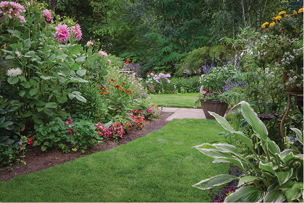 The basic steps in creating a garden that provides a safe habitat for wildlife - photo 1