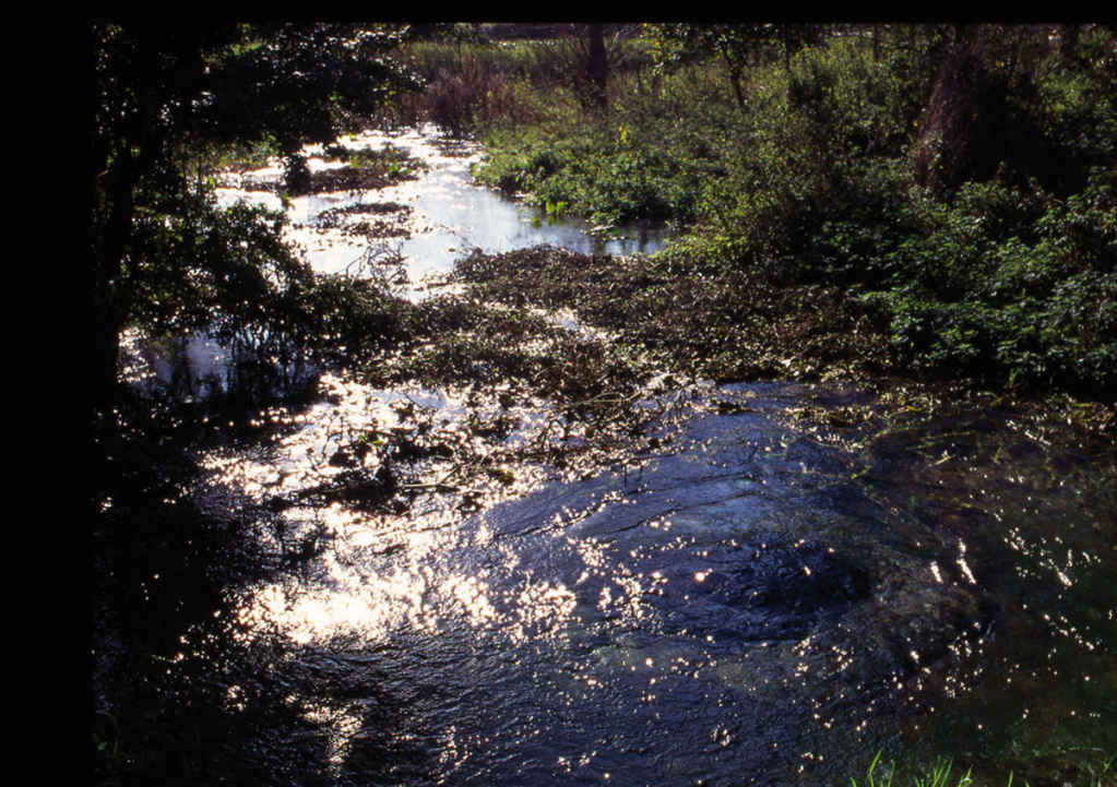 The source of the river at Thames Head near Kemble The river can only be seen - photo 13