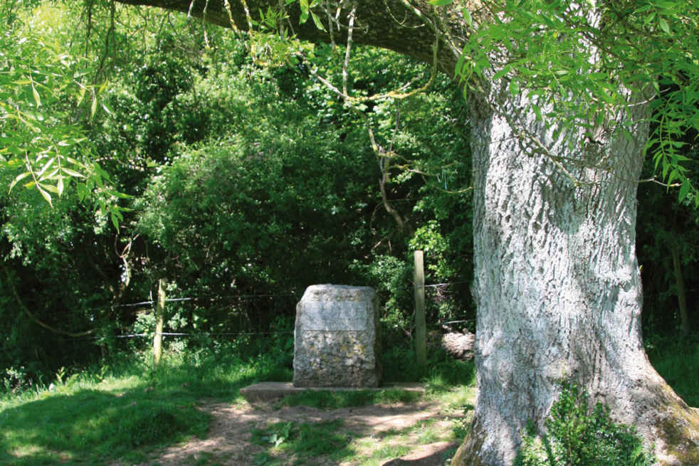 Underneath a tree at Thames Head is a stone with a weathered inscription The - photo 14