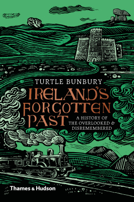 Turtle Bunbury - Irelands Forgotten Past: A History of the Overlooked and Disremembered