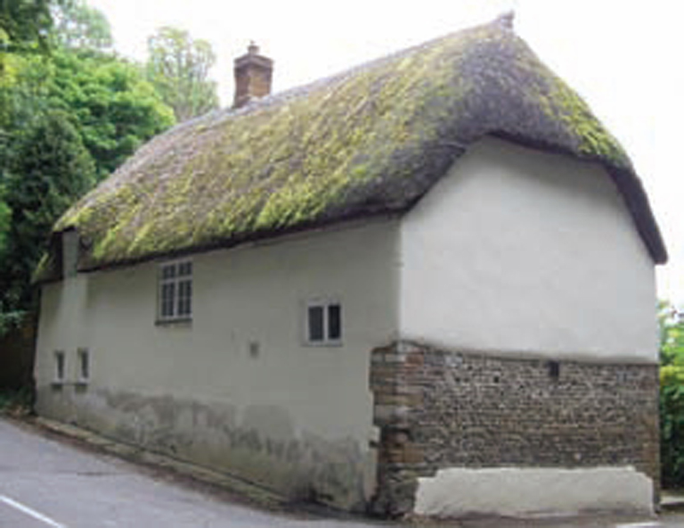 North-facing thatch among trees can accumulate a lot of green lichens Note the - photo 7