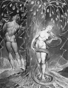 William Blake The Temptation and the Fall of Eve It is a foolish thing to - photo 3
