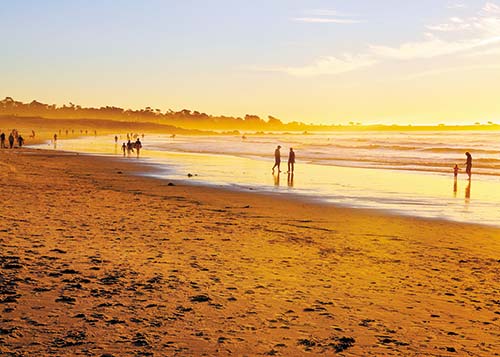 Asilomar Beach in Pacific Grove - photo 14