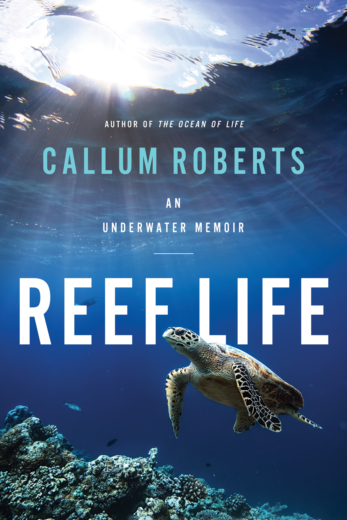 REEF LIFE AN UNDERWATER MEMOIR CALLUM ROBERTS with photographs by ALEX - photo 1