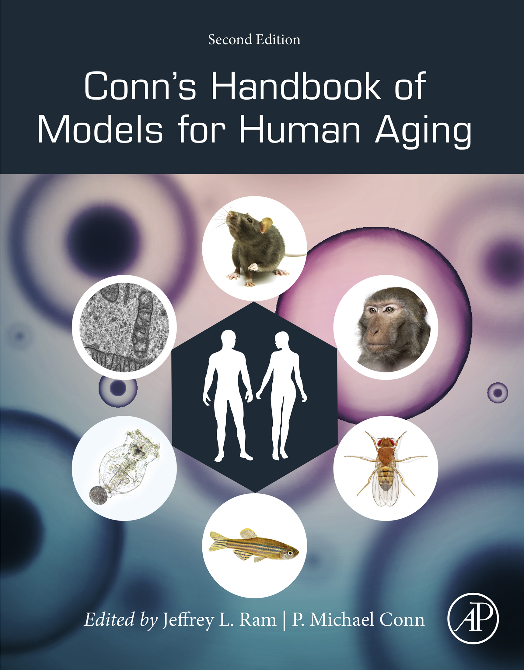 Conns Handbook of Models for Human Aging Second Edition Editors Jeffrey L - photo 1