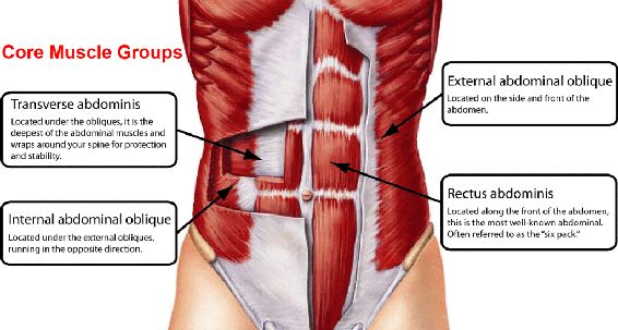 The key to getting the most out of abdominal training is learning how to brace - photo 5