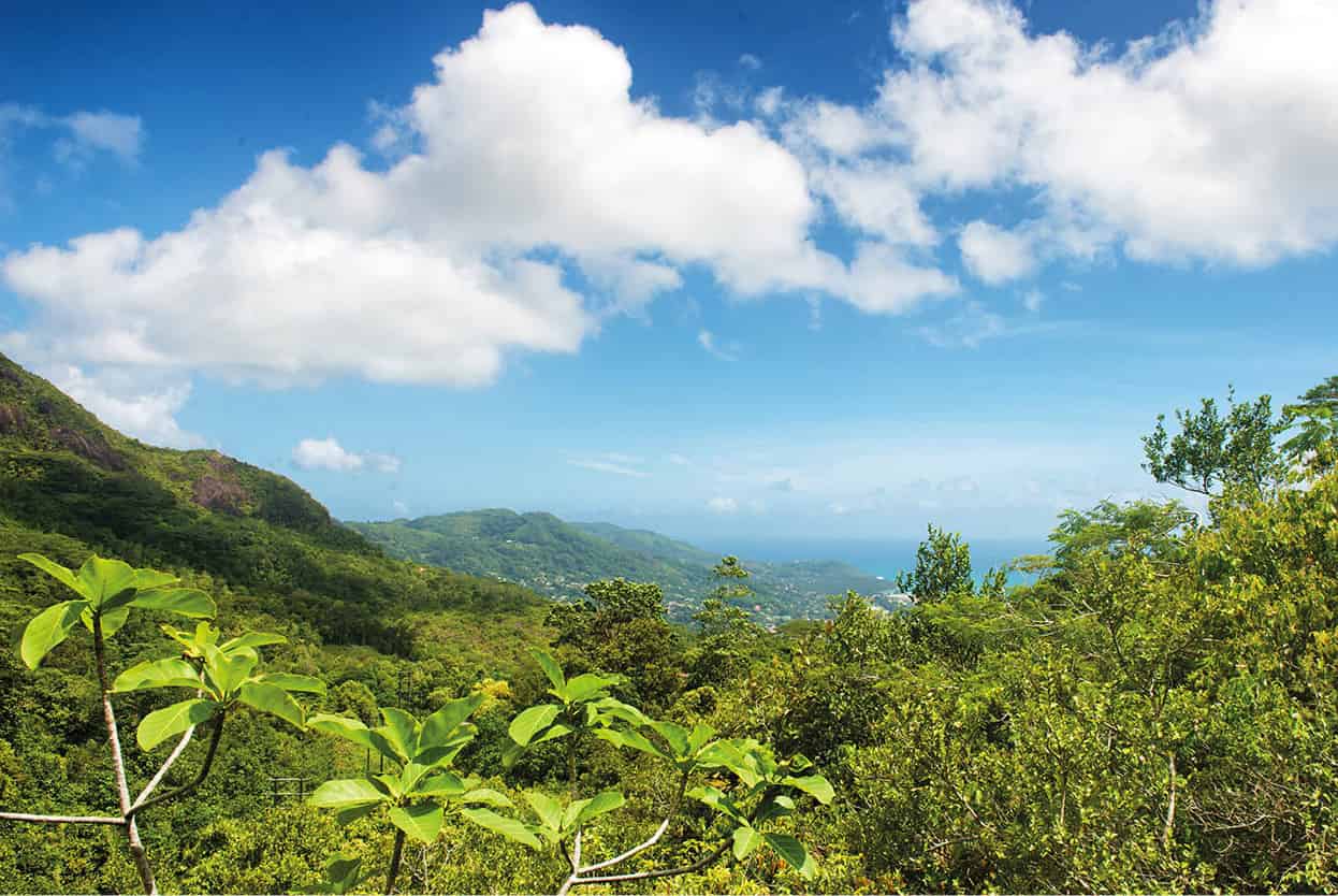 Top Attraction 2 Shutterstock Hiking The cool mountains of Morne - photo 5