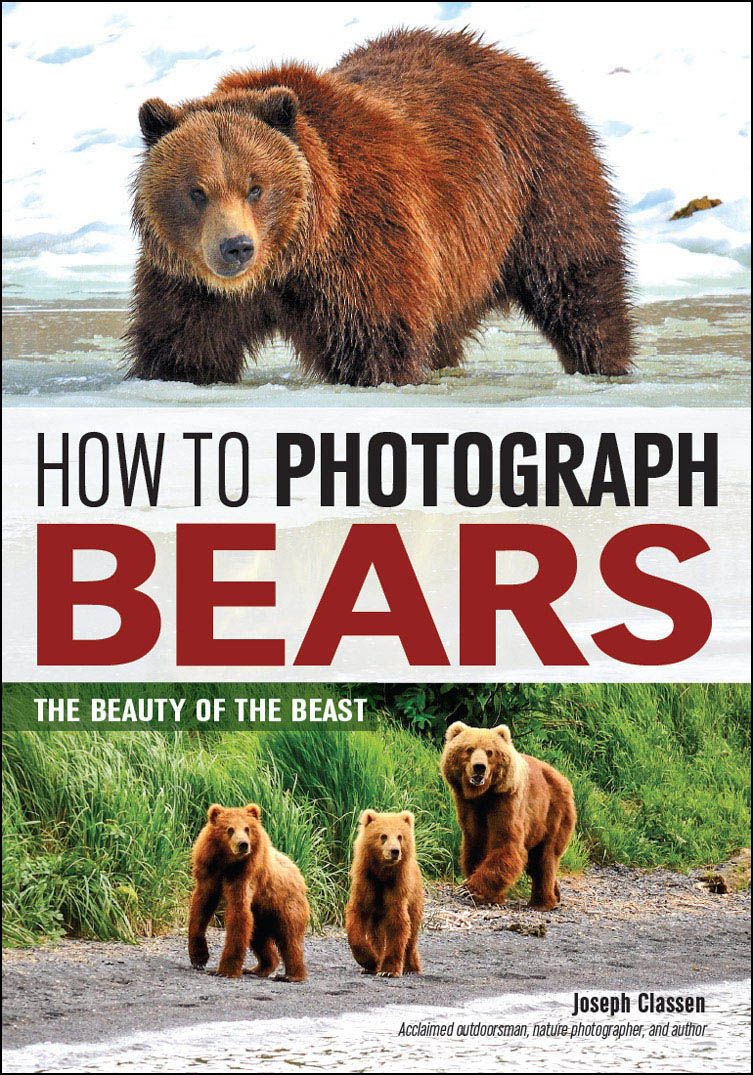 AUTHOR A BOOK WITH AMHERST MEDIA Are you an accomplished photographer w - photo 1