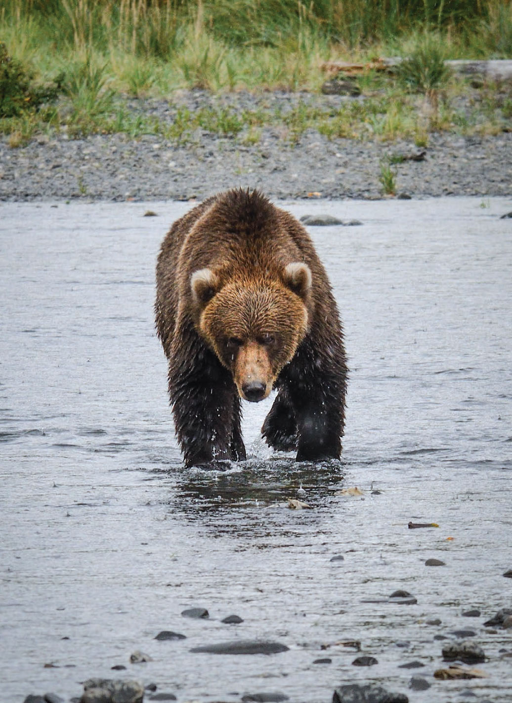 Joseph Classen is an award-winning nature and wildlife photographer and the - photo 9