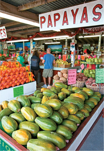 Robert Moehling has been selling fruit on the same corner in Florida City for - photo 5