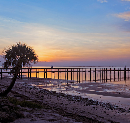 Backroads of Florida Your Guide to Great Day Trips Weekend Getaways - image 2