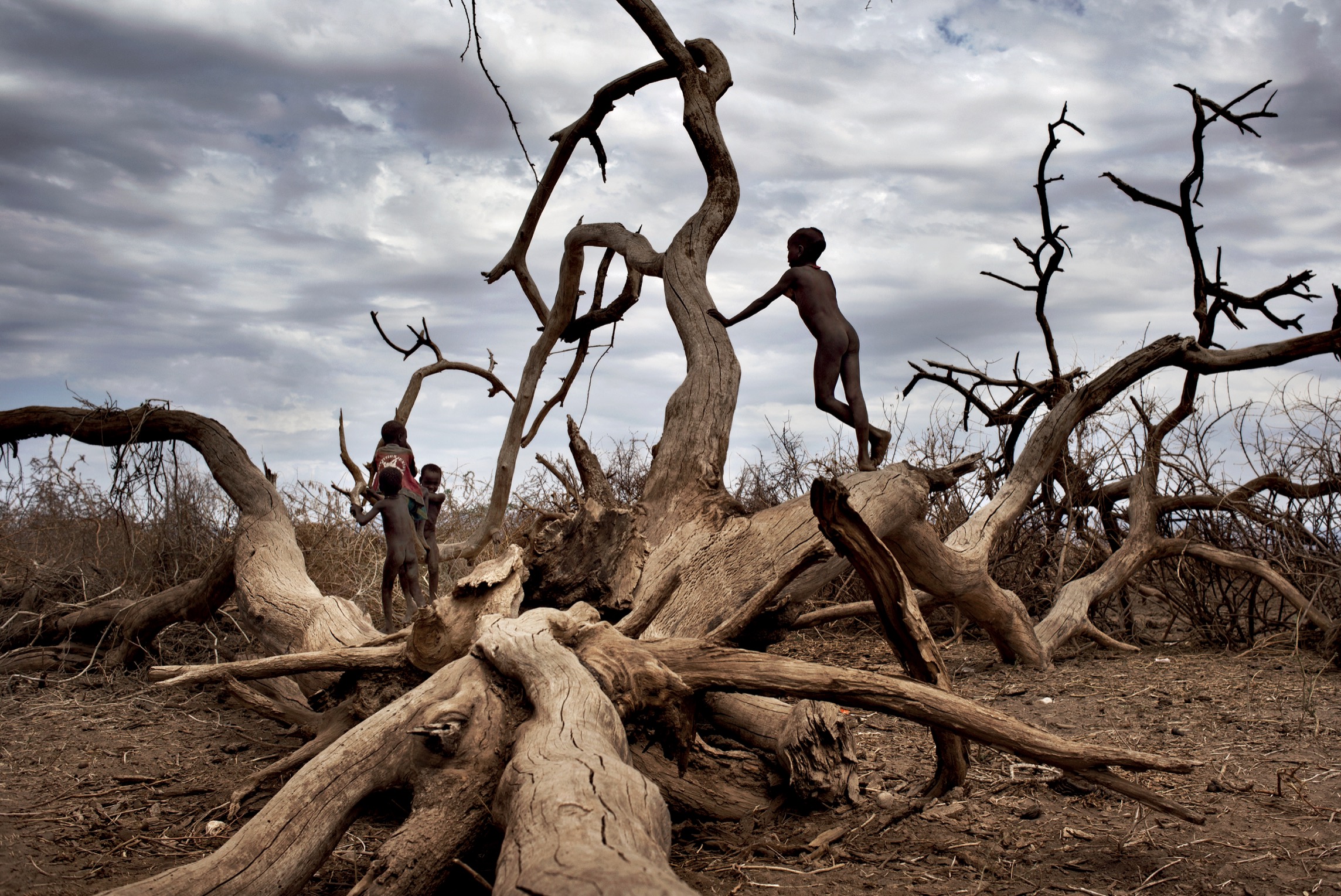 Children play on fallen trees during a drought in Turkana Kenya August 2011 - photo 6