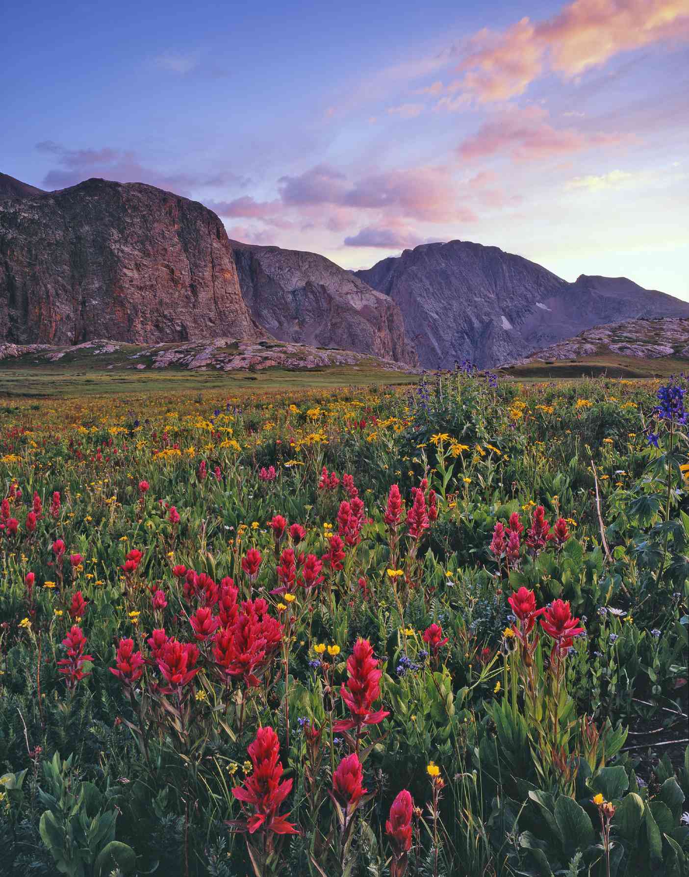 Indian paintbrush and Peak Two at sunset Grenadier Range Weminuche - photo 3