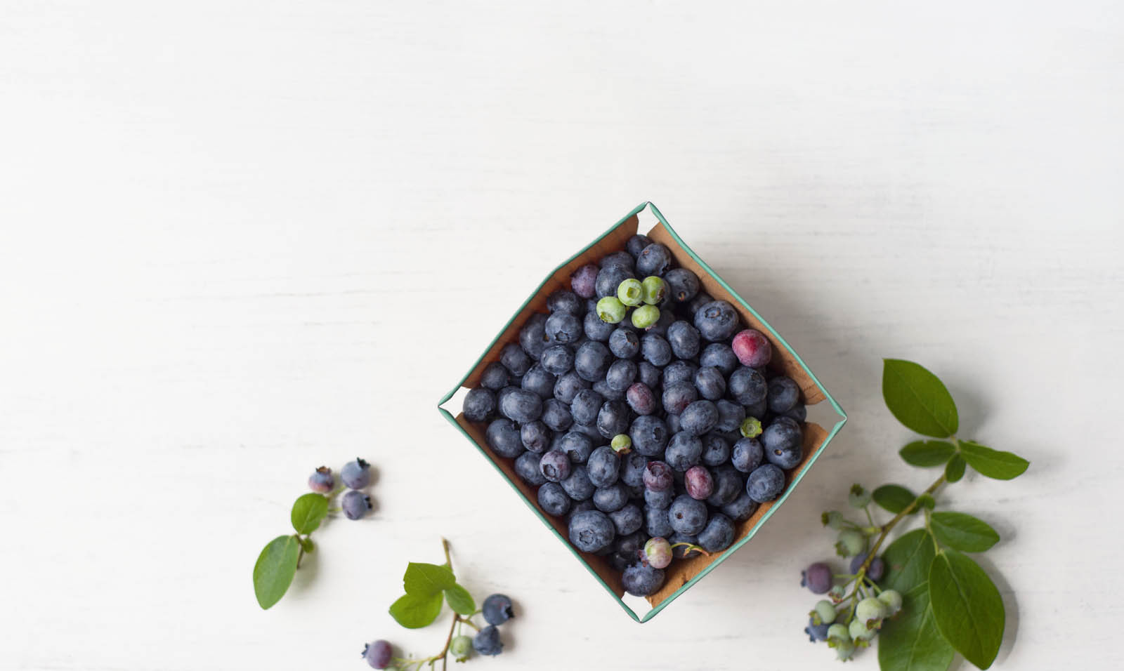 Fresh berries are among natures most delightful treats and nearly everyone - photo 3