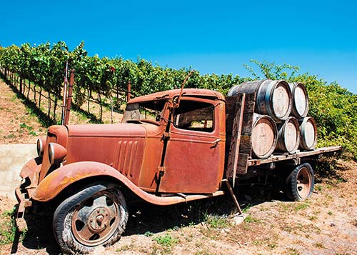 vineyard in Mendocino California exists on the edge of the continent where - photo 12