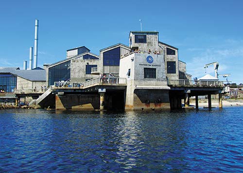 the Monterey Bay Aquarium Big Sur and the Central Coast Some of the most - photo 19