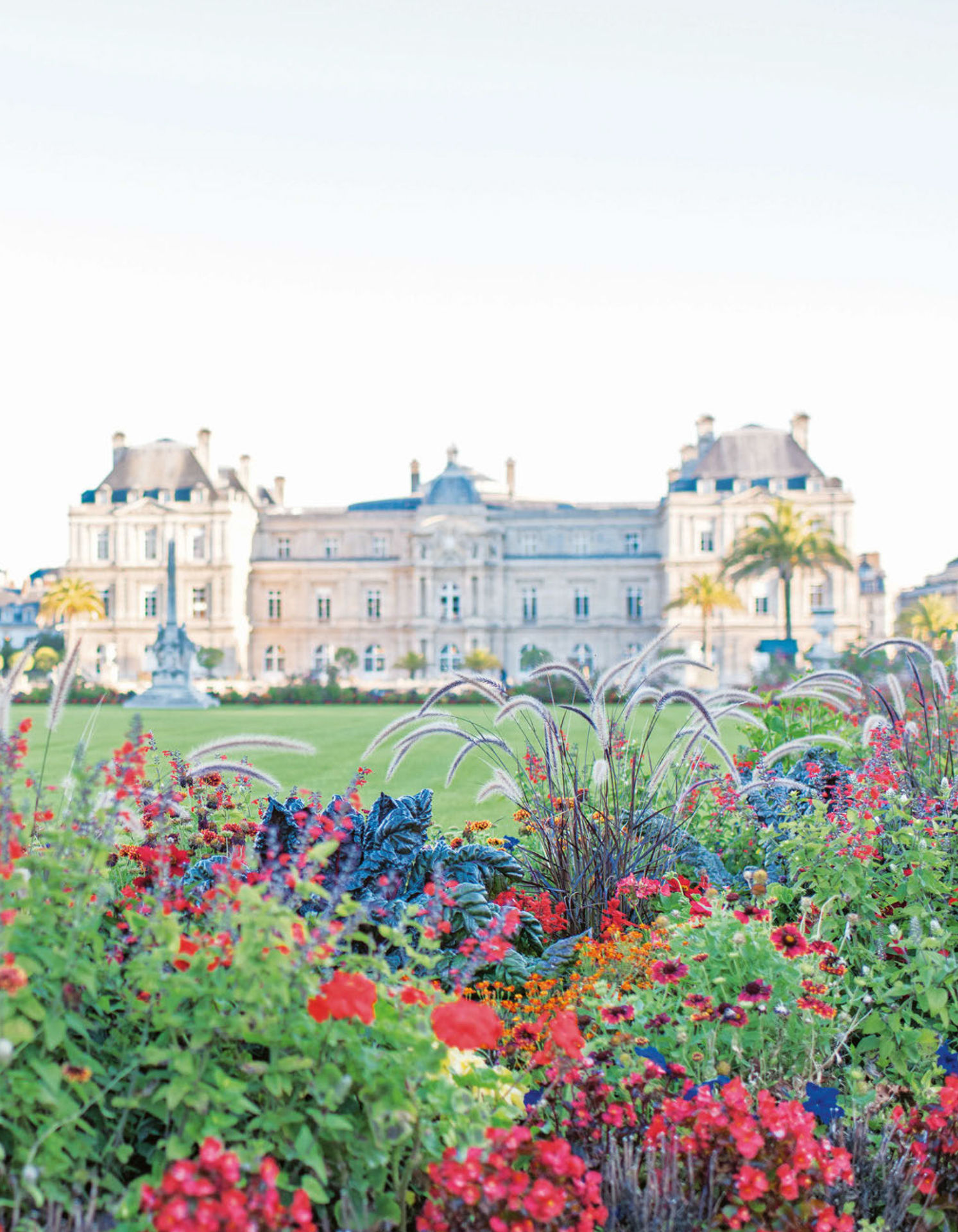 Paris in Bloom - photo 17