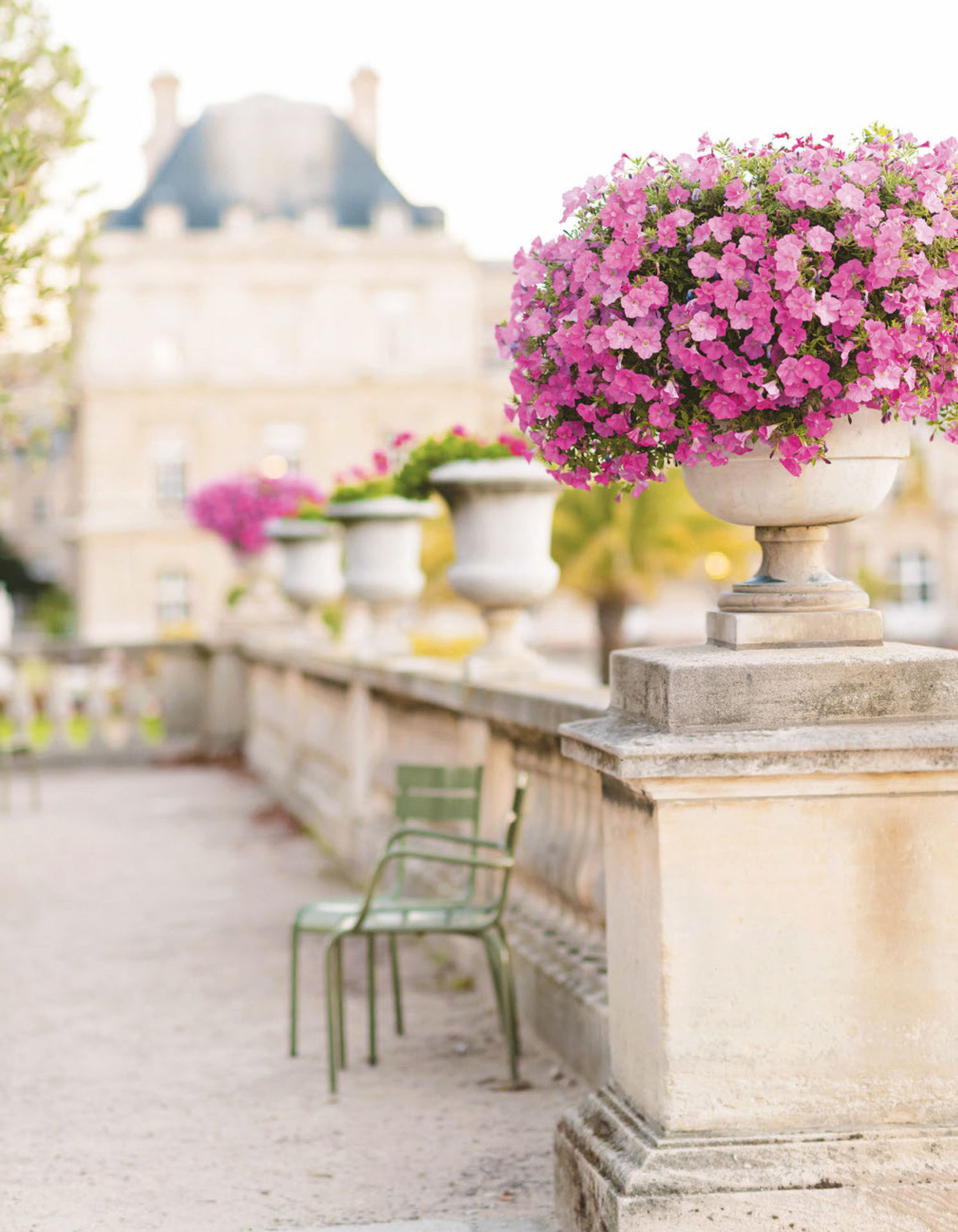 Paris in Bloom - photo 20