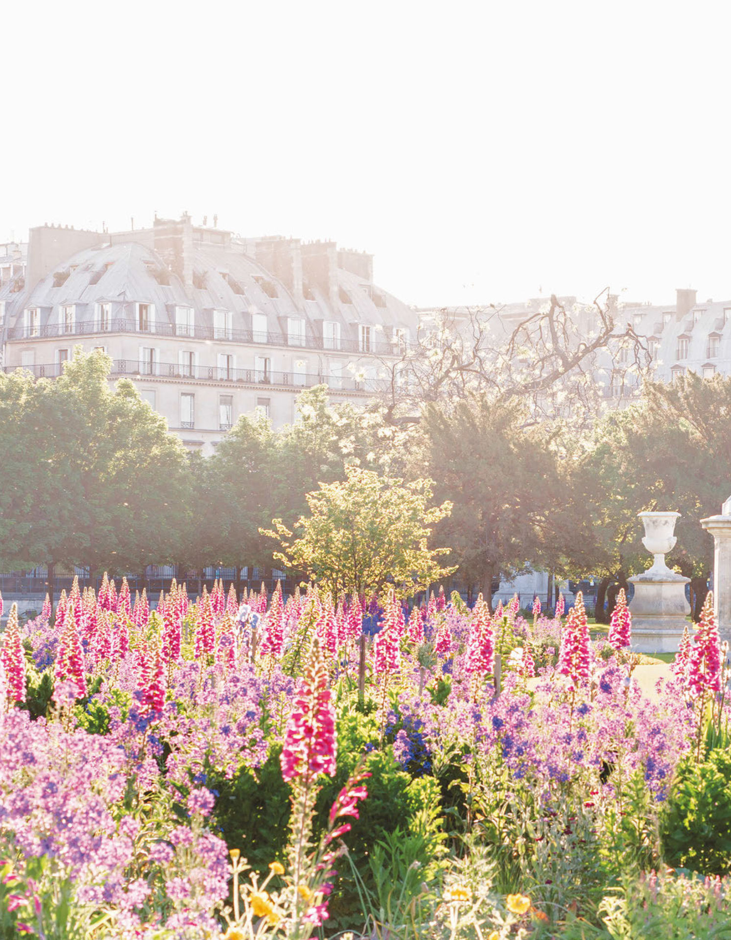 Paris in Bloom - photo 31