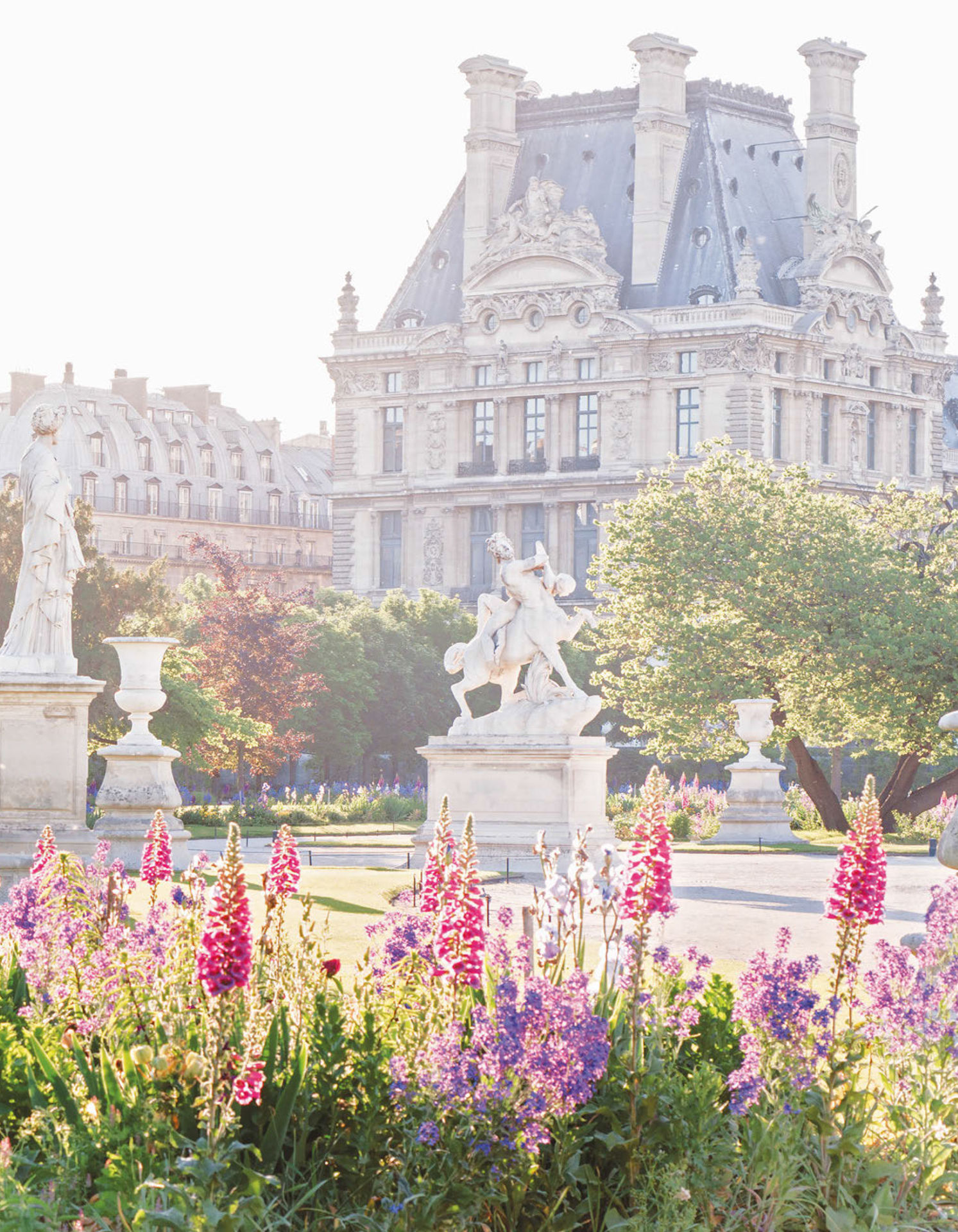 Paris in Bloom - photo 32