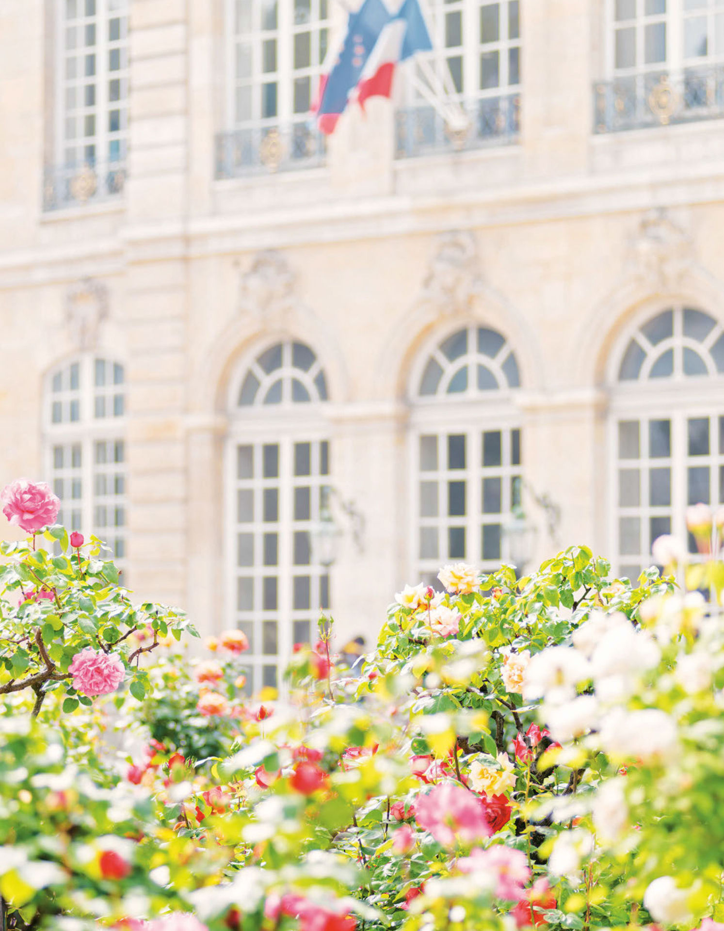 Paris in Bloom - photo 36