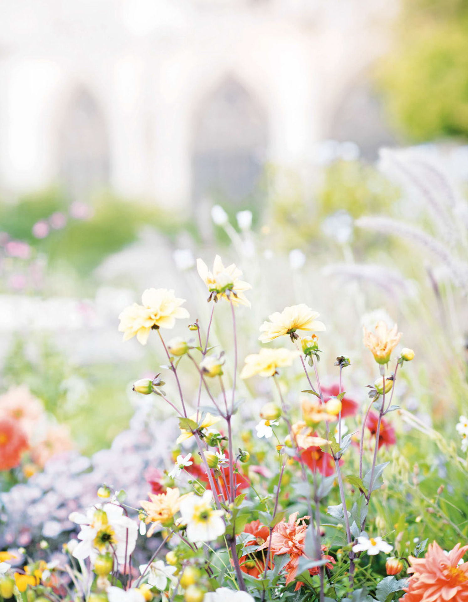 Paris in Bloom - photo 45