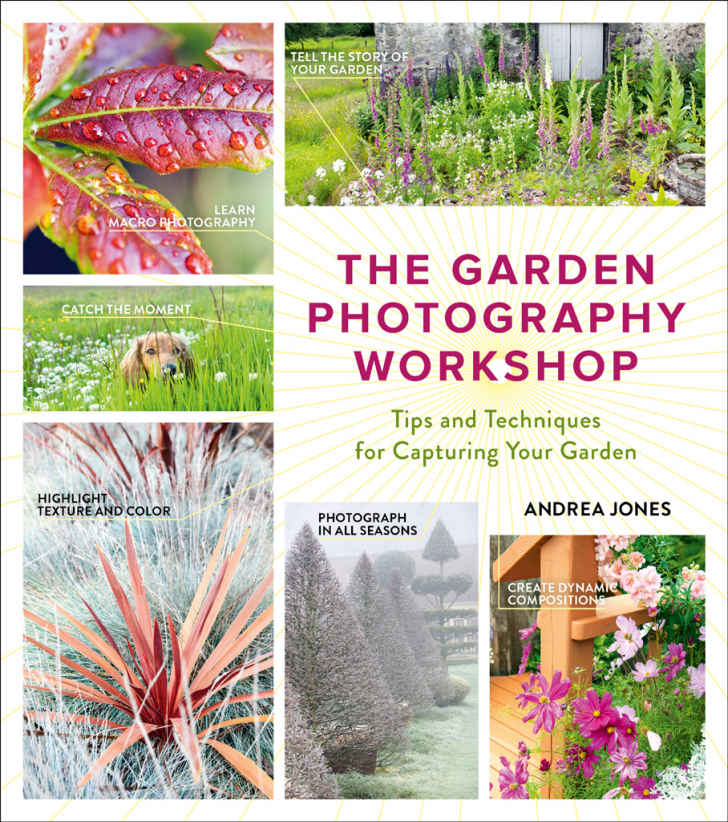 THE GARDEN PHOTOGRAPHY WORKSHOP Tips and Techniques for Capturing Your Garden - photo 1