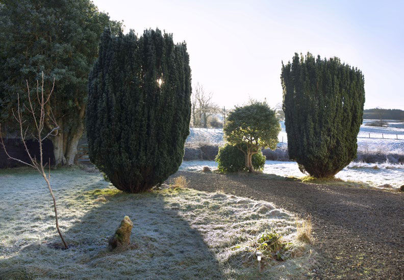 Alton Albany Farm in frost Frosted umbellifera HOW TO USE THIS BOOK Weve - photo 9