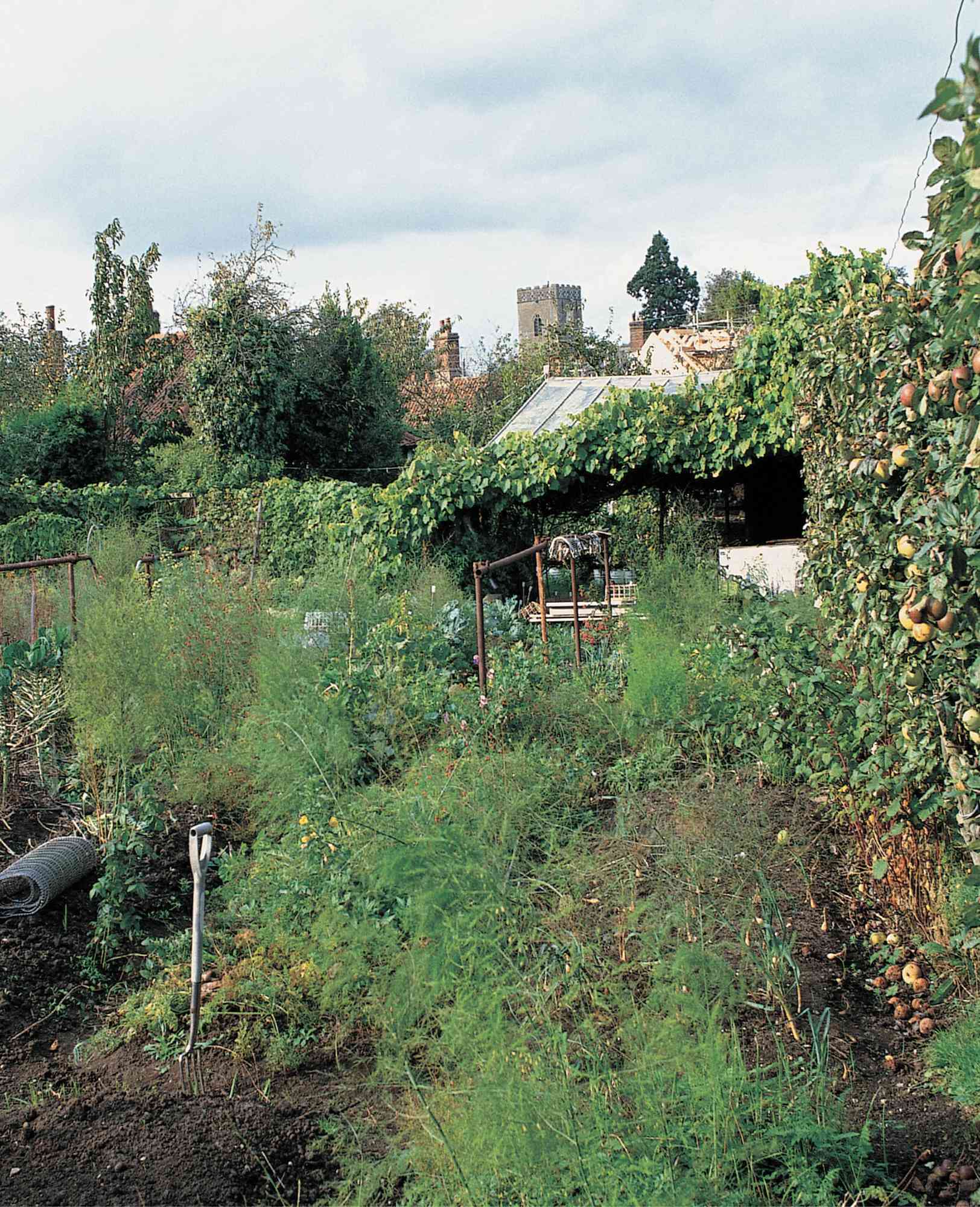 FRUITS AND GARDENS THEIR HISTORY IS AS ONE Our earliest diet as - photo 1