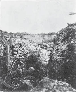 The Battle of Fromelles 1916 - image 3