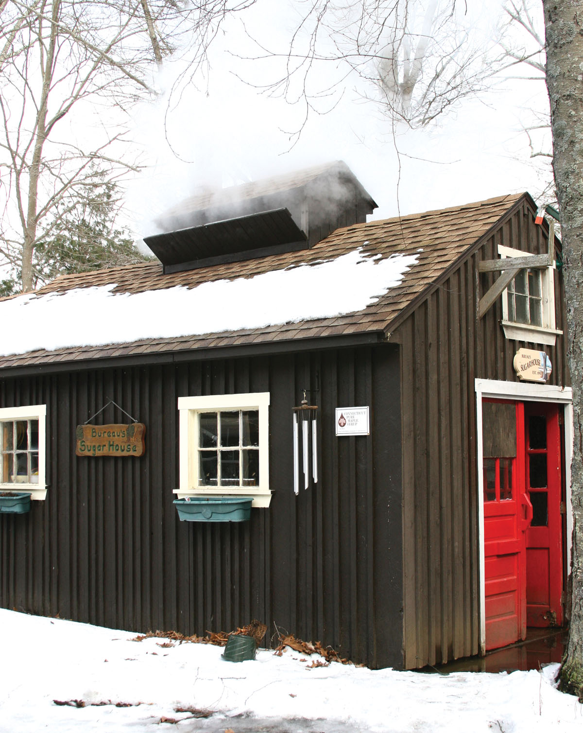 Foreword By Tracey Ryder Traveling the back roads of New England with Jessica - photo 4