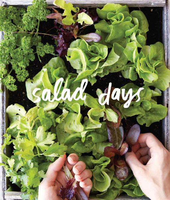 Salad Days Boost Your Health and Happiness with 75 Simple Satisfying Recipes for Greens Grains Proteins and More - photo 1