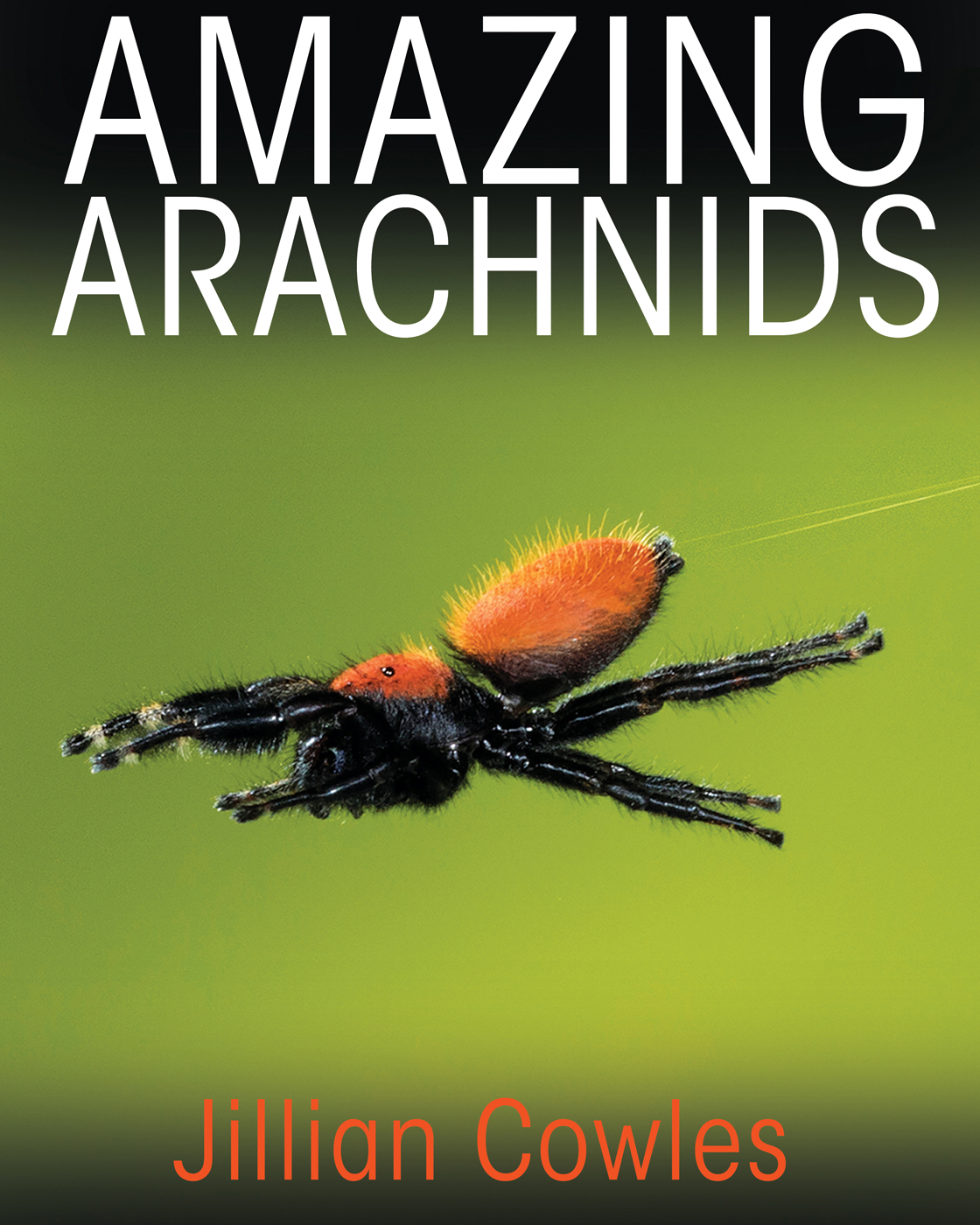 Amazing Arachnids Amazing Arachnids Jillian Cowles PRINCETON UNIVERSITY PRESS - photo 1