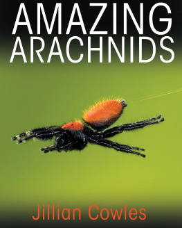 Jillian Cowles - Amazing Arachnids