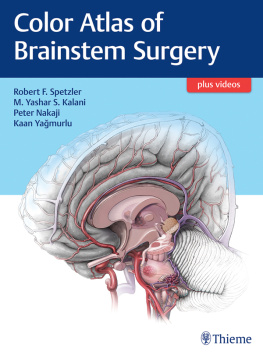 Spetzler Robert F. - Color Atlas of Brainstem Surgery