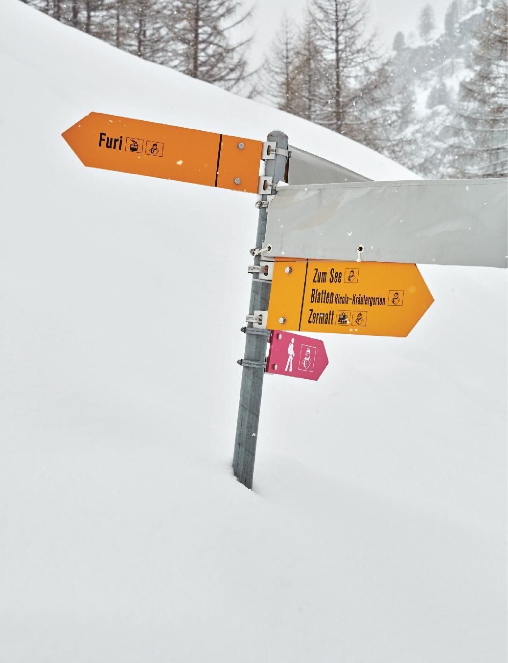 INTRODUCTION I was told by a station agent that the ski from Plan Maison - photo 8