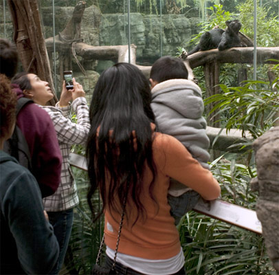 Children viewing a majestic black leopard in the Jungle World exhibit at the - photo 5