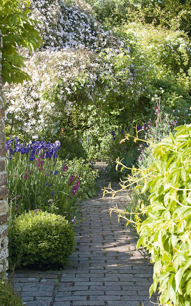 Clematis and irises in spring at Monks House East Sussex Late summer in - photo 5