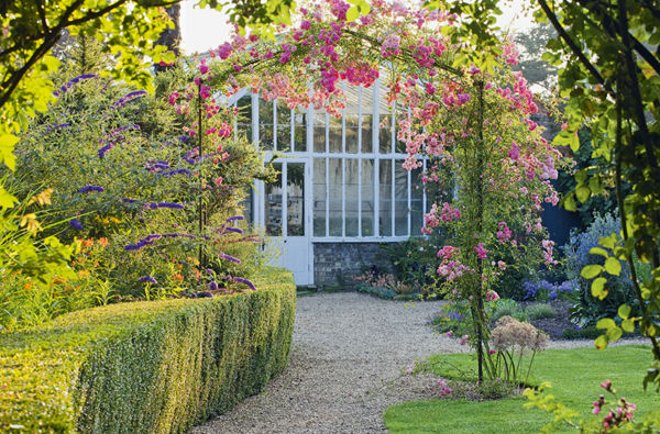 Peckover House in Cambridgeshire which is famous for its roses A rambling - photo 8