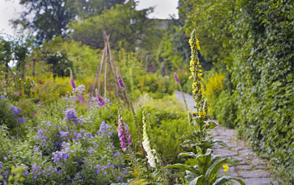 The cottage-style garden at Hill Top Betrix Potters small farmhouse in - photo 10