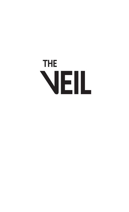 The Veil By Blake K Healy Copyright 2012 By Blake K Healy All rights - photo 1