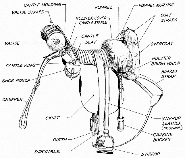 Nomenclature of the saddle The saddle shown is the Model 1847 Grimsely and - photo 2