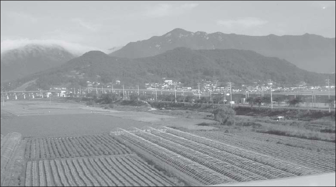 The wajo of Yangsan as viewed from the modern bridge over the Nakdong River - photo 3