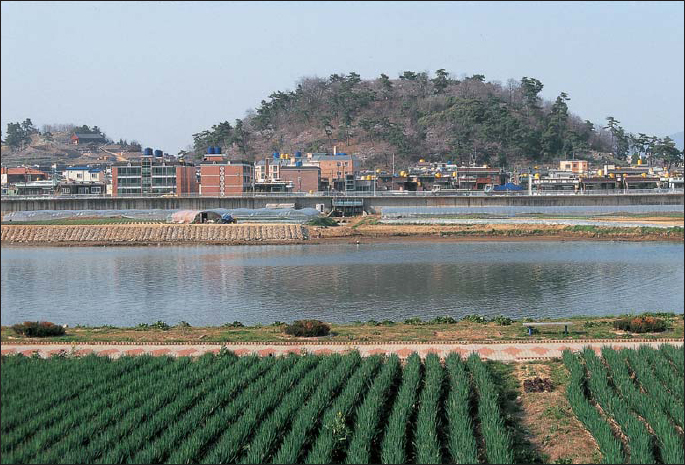 The site of the wajo of Ulsan today looking across the river from the south - photo 8