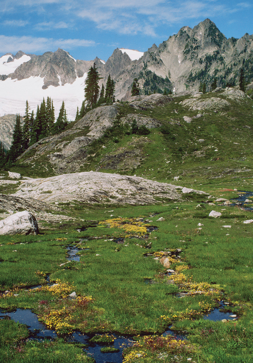 NATURAL HISTORY of the PACIFIC NORTHWEST MOUNTAINS PLANTS ANIMALS FUNGI GEOLOGY - photo 1