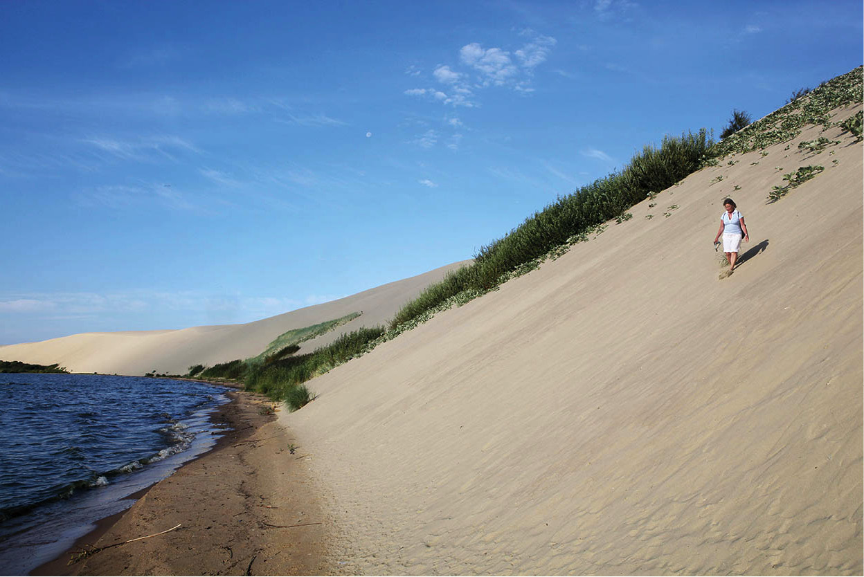 The Curonian Spit This magnificent 98km 60-mile spit is a dazzling white - photo 7