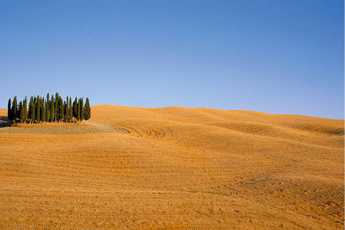 Val dOrcia landscape With its farmhouses abbeys and conical hills this - photo 5