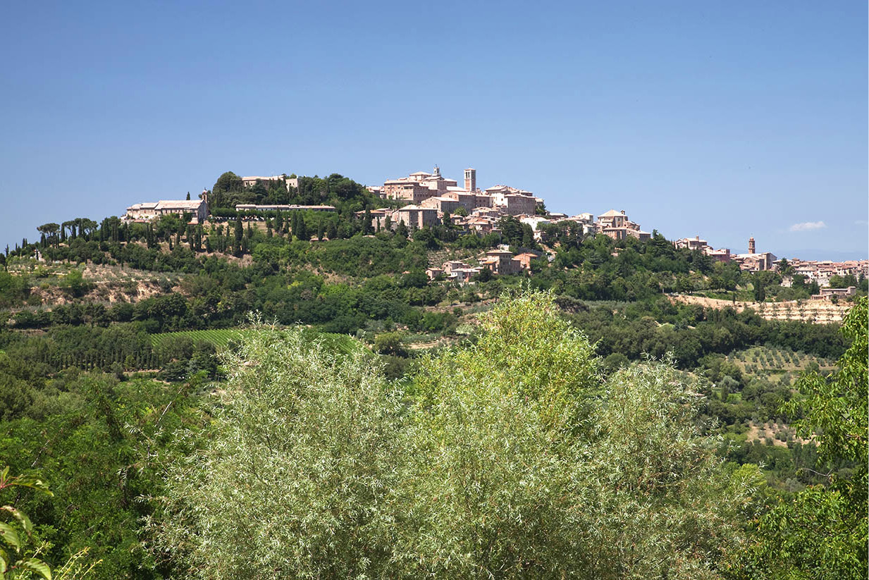 Hill towns of Montepulciano and Montalcino Montepulciano and Montalcino draw - photo 12