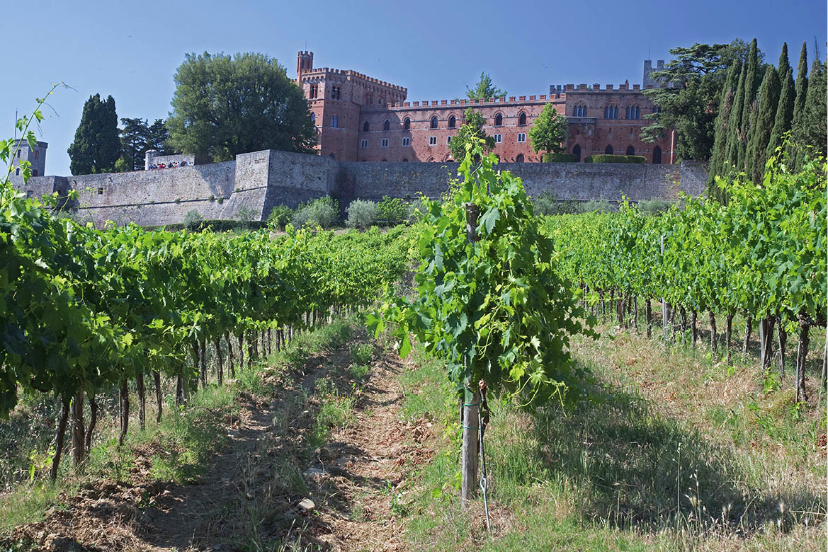 Wine-tasting in the Chianti Ignore the Chiantishire tag and visit a chequered - photo 9